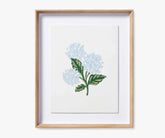 Framed Wall Art - Hydrangea Cream
