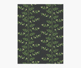 Climbing Vines Wallpaper Sample - Black