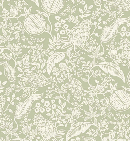 Pomegranate Peel & Stick Wallpaper - Pistachio & White