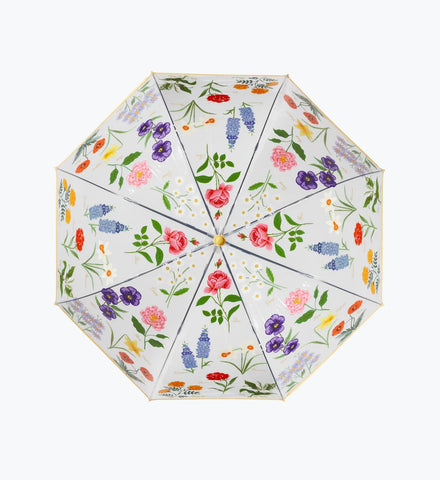 Umbrella - Garden Study