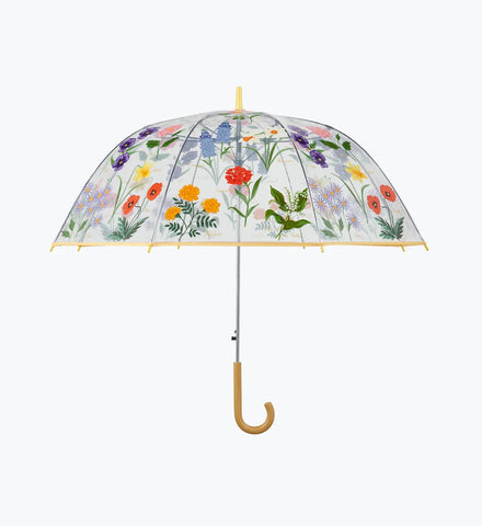 Umbrella - Garden Study