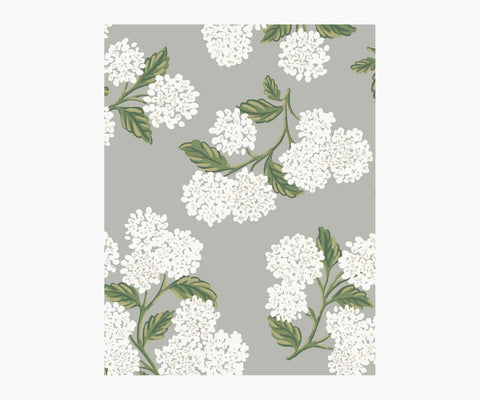 Hydrangea Wallpaper Sample - Grey