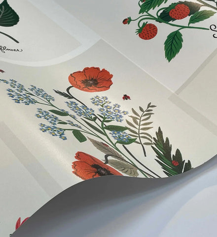 Botanical Prints Wallpaper - White
