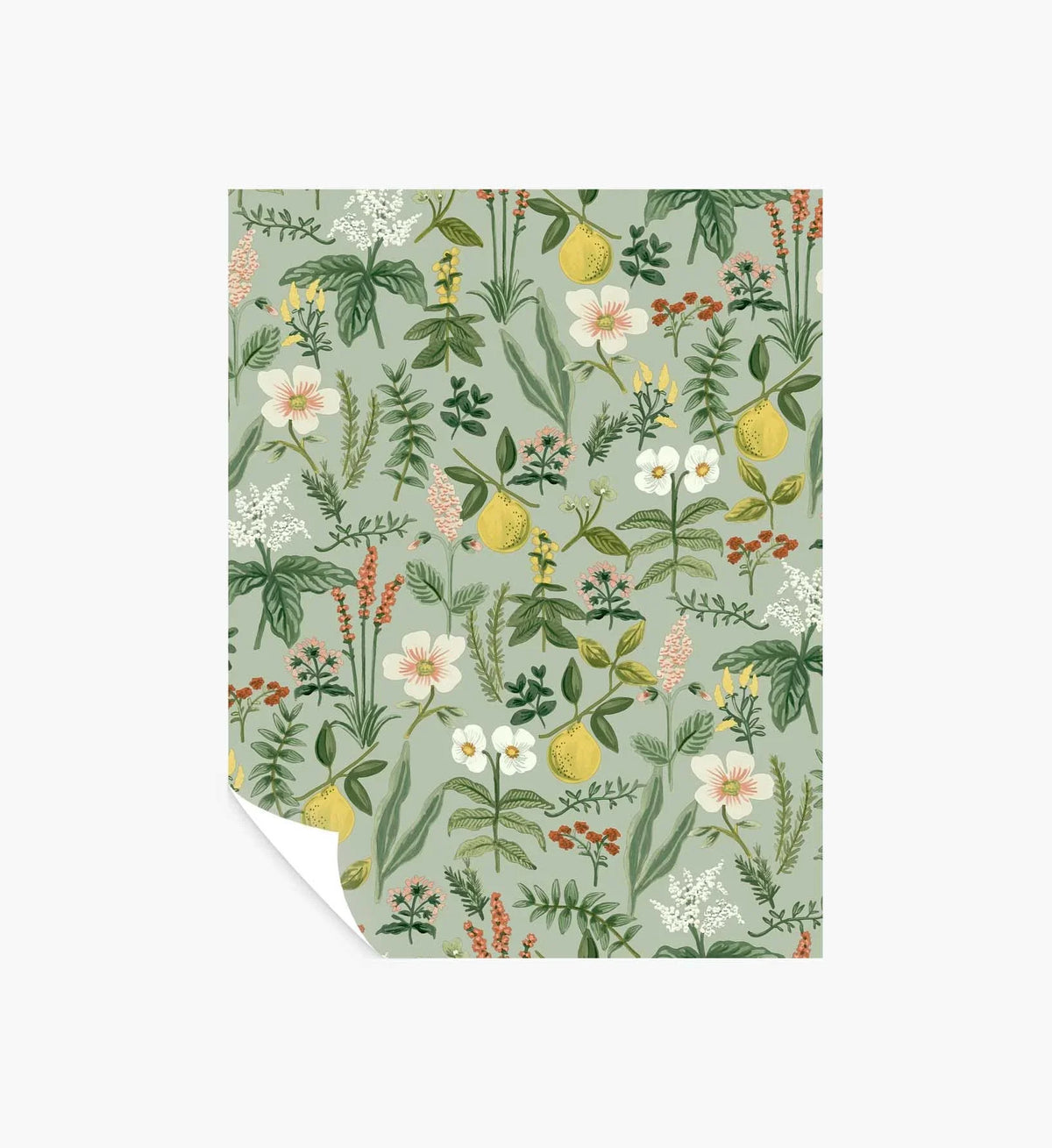 Herb Garden Peel & Stick Wallpaper Sample - Sage