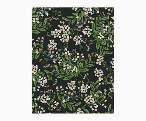 Cornflower Wallpaper Sample - Black