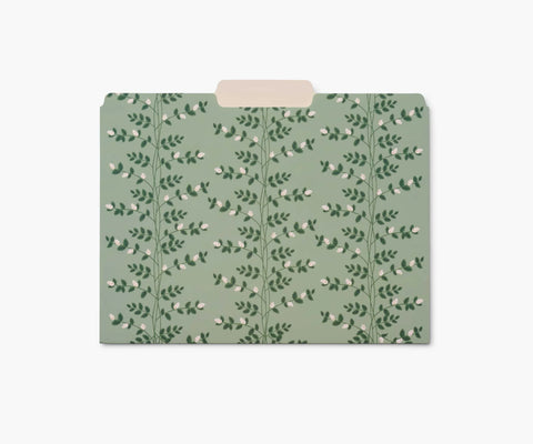 Assorted File Folders - Dahlia