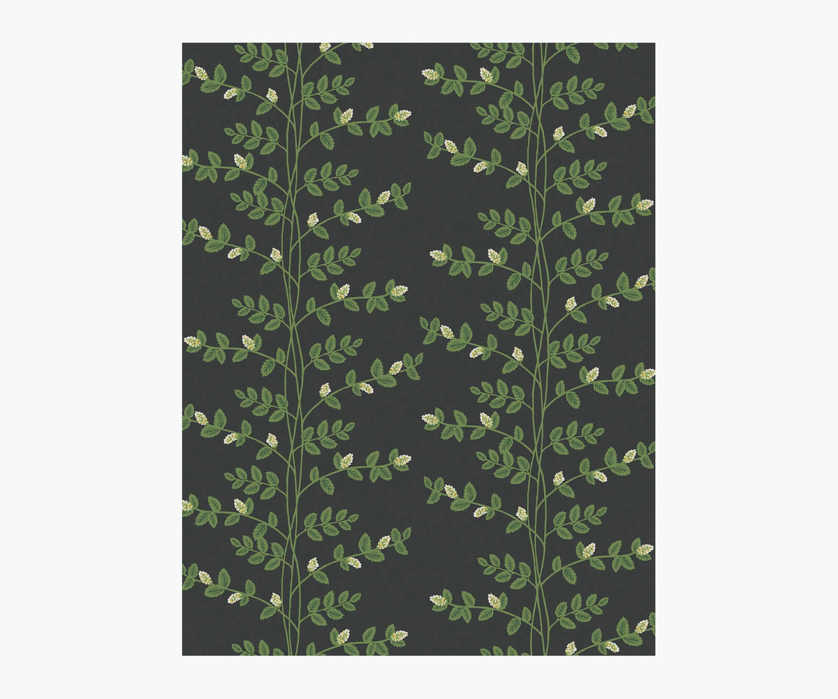 Climbing Vines Wallpaper Sample - Black