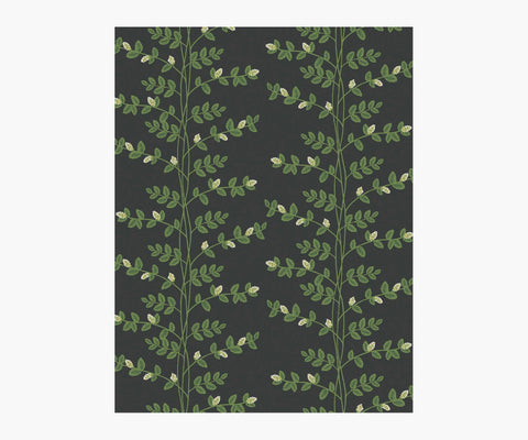 Climbing Vines Wallpaper Sample - Black
