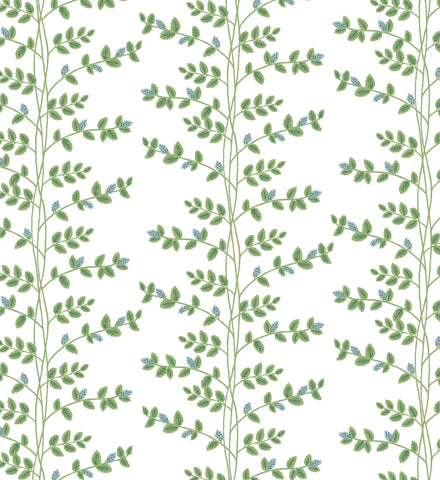Climbing Vines Wallpaper - White & Blue