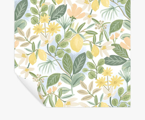 Amalfi Peel & Stick Wallpaper - Blush & Green
