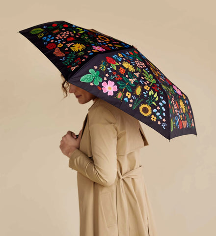 Umbrella - Curio