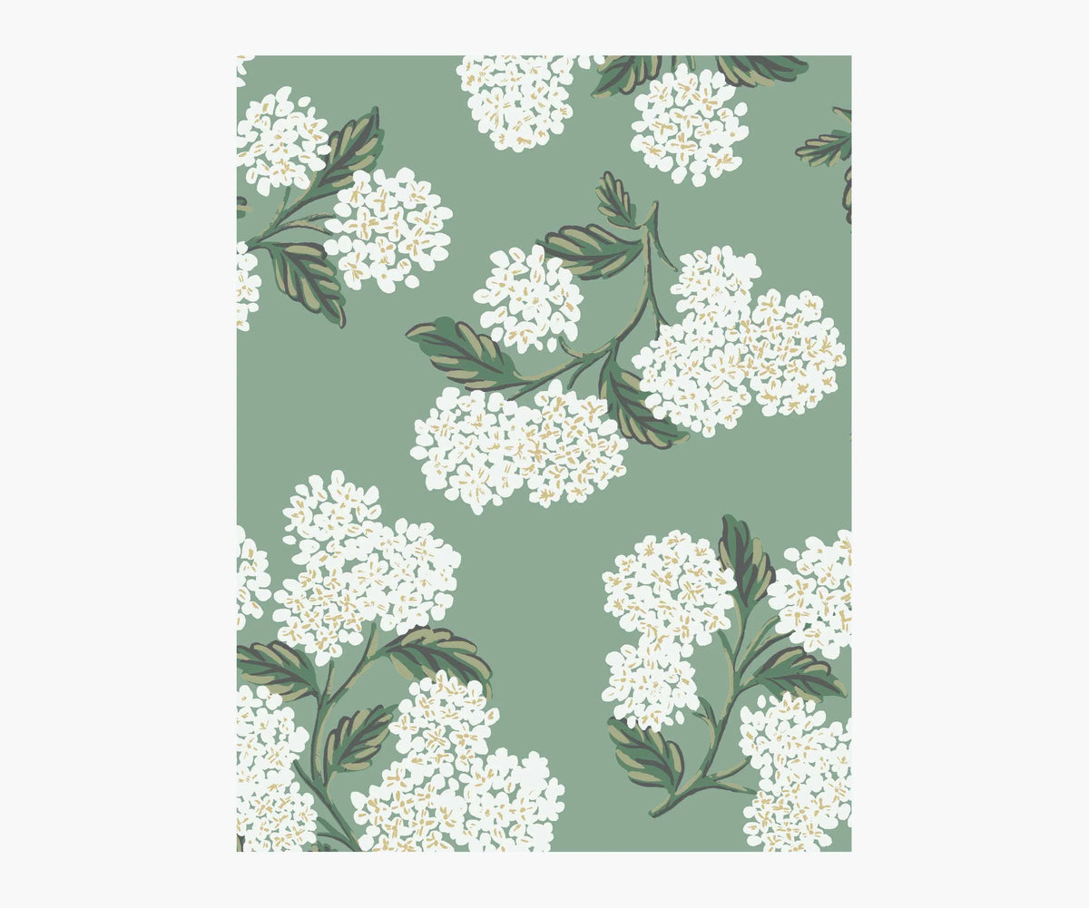 Hydrangea Wallpaper Sample - Jade