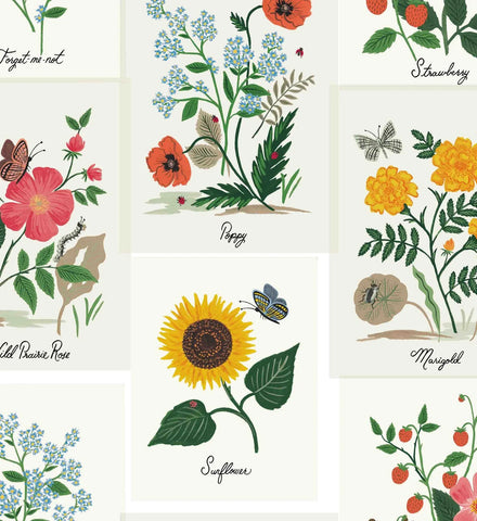 Botanical Prints Wallpaper - White