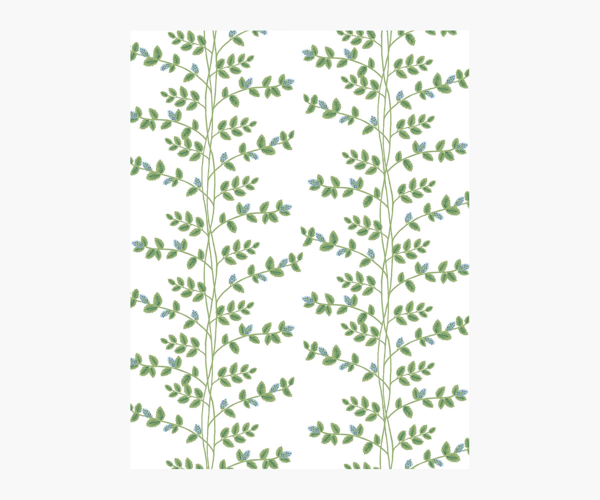 Climbing Vines Wallpaper Sample - White & Blue