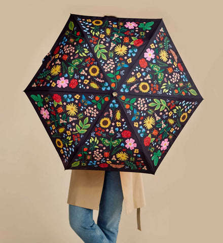 Umbrella - Curio