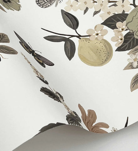 Flower Studies Wallpaper - Linen