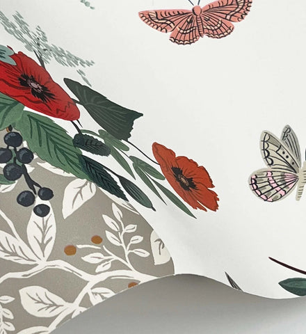 Flower Studies Wallpaper - Rose Multi
