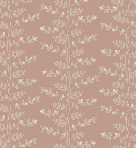 Climbing Vines Wallpaper - Rose