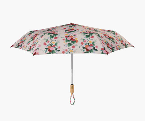 Umbrella - Dahlia