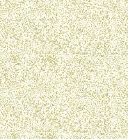 Champagne Dots Wallpaper - Metallic Gold & White